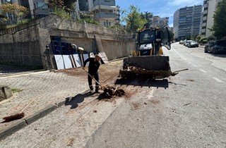 Gemlik’te Bahar Temizliği